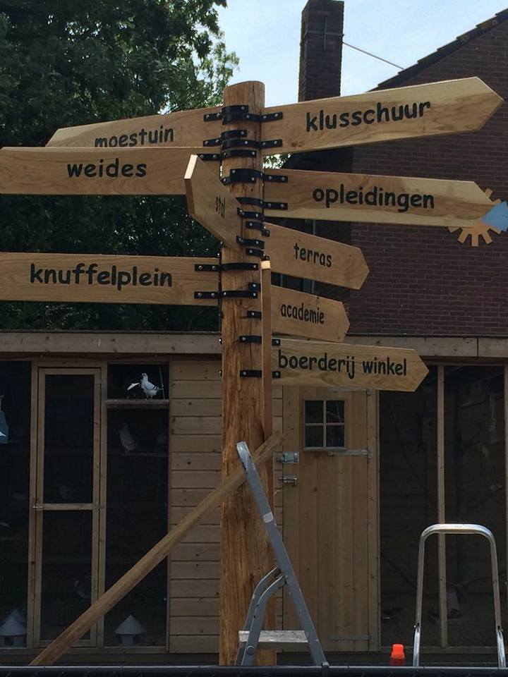 35346513_1050687168437410_2280186545329668096_n